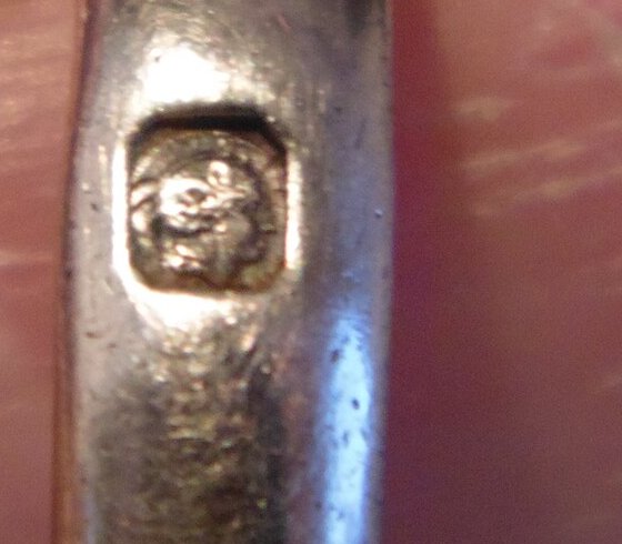Foto: keur met Minervakop geslagen op een juweel van massief zilver